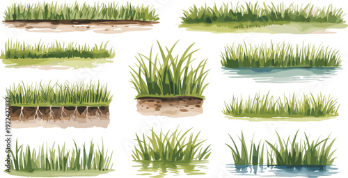 Collection of twelve diverse grass patch illustrations with soil layers, water reflections, and varied textures for botanical, landscape, environmental, and creative design applications