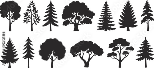 Collection of twelve diverse tree silhouettes arranged in rows, showcasing botanical variety, foliage patterns, and natural forms for educational, environmental, and creative design applications