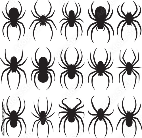 Silhouettes of a black predatory spiders.
