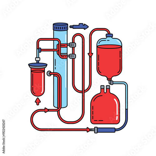 Hemodialysis Blood Filtration Diagram