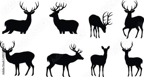 Collection of eight black deer silhouettes in various poses on white background Keywords: deer, silhouette, animal, wildlife