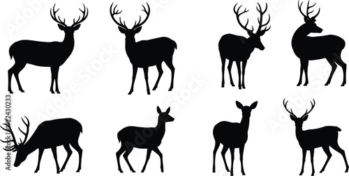 Eight black silhouette deer with antlers in various poses Keywords: deer, stag, buck, male, animal, wildlife, silhouette, black