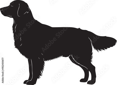 Black Dog Silhouette Standing Side View Isolated on White Background