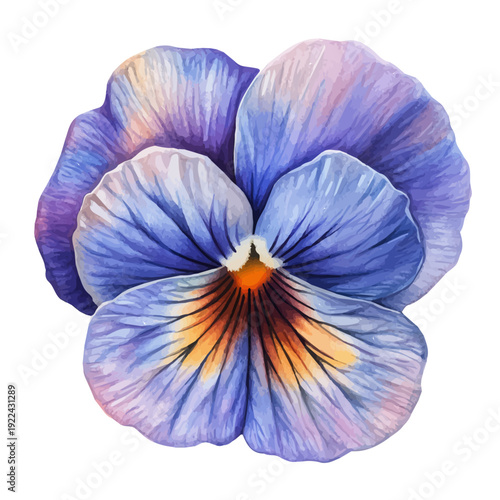 High-resolution watercolor painting vector of Pansy Flower, isolated on a white background.