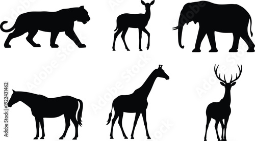 Silhouette Collection of Six Different Wild and Domestic Animals on White Background tiger lion