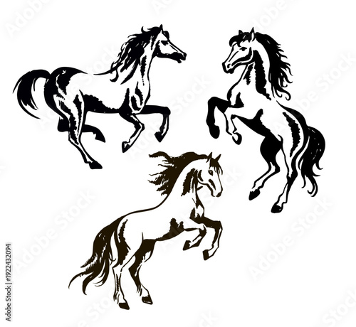 Set of hand drawn horses, vector illustration, sketch. Horses running and rearing, drawn with ink