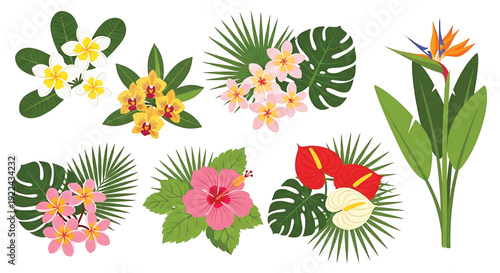 Tropical flower and leaf vector set with plumeria, orchid, hibiscus, anthurium and bird of paradise on white featuring flowers, leaves, foliage with floral and botanical elements for illustration,