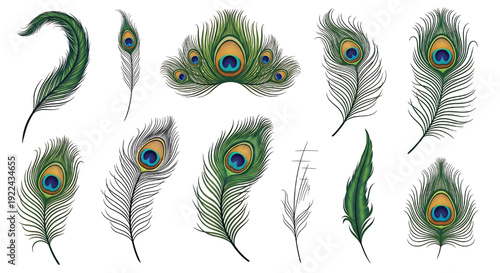 Peacock feather set of decorative green and blue eye patterns, isolated vector elements for luxury design, boho decor featuring peafowl, feathers, plumage with eyespot and teal elements for gold,