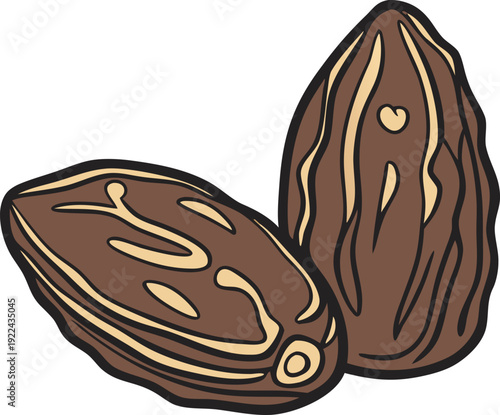 Delicious Dried Date Close-up: a close-up depiction of two succulent dried dates, their wrinkled, brown skin hinting at the sweet treasure within, promising a delightful culinary experience.