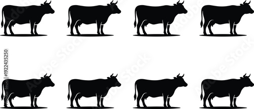 Cow Silhouette Set, Farm Cattle Standing Side View Black Vector Illustration Collection, Livestock Animal Icons Isolated on White Background for Agriculture Design