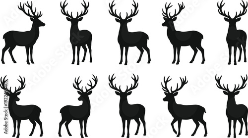 Deer Silhouette Collection, Majestic Stag with Antlers Standing Poses Black Vector Illustration Set Isolated on White Background for Wildlife and Hunting Design