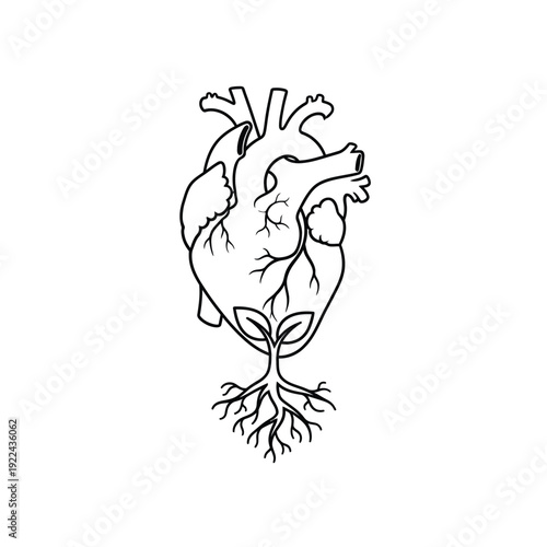 Anatomical human heart illustration with plant roots growing from bottom vector