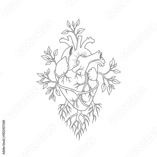 Anatomical heart with roots, detailed black and white line art, medical symbol