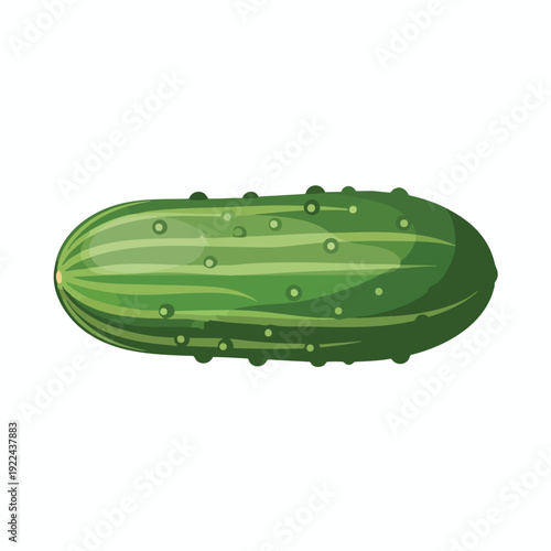 Fresh Green Cucumber on White Background for Healthy Food or Cooking Themes