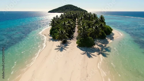 Aerial view of a tropical island with sandy beach, palm trees, and turquoise waters, showcasing the serene landscape and natural beauty of the coastal environment