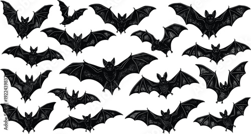Flying Bat Silhouettes Pattern with Detailed Wings in Various Poses, Spooky Halloween Black Vector Illustration Isolated on White Background