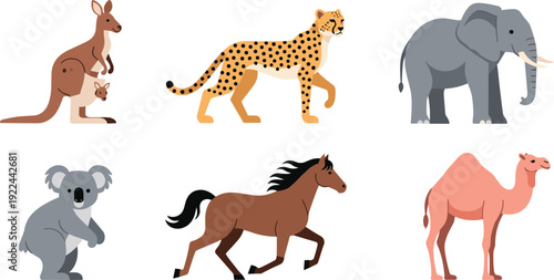 Flat vector illustration set of wild land animal character collection including kangaroo cheetah elephant koala horse and camel for nature wildlife safari zoo.