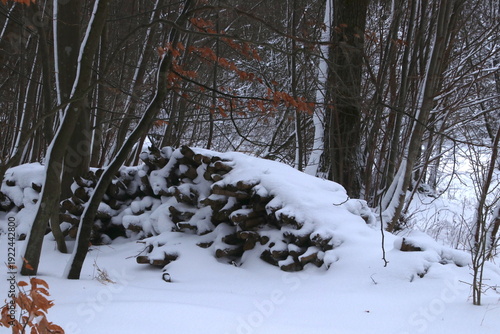 Firewood pile with snow cover white and nice