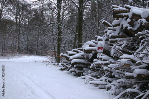 Firewood stack number 2546 witing for pick up