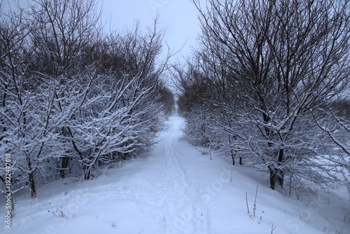 Footprints on a snowy old railroad path