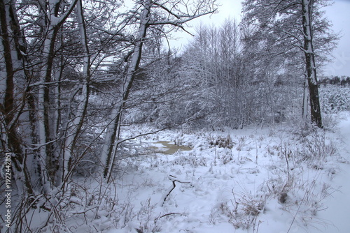 Frozen forest lake with snow cover to hide the water