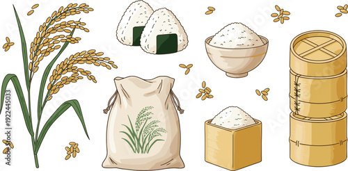 Rice and agriculture vector set. Paddy plant, rice bowl, sack and bamboo steamer. Hand drawn Asian food illustration collection for grocery and farm design.