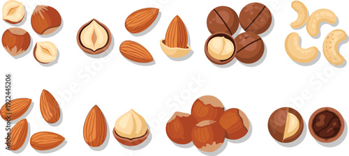Nut variety vector set. Almond, hazelnut, macadamia and cashew collection. Cartoon organic snack illustration for grocery, packaging and healthy food design.