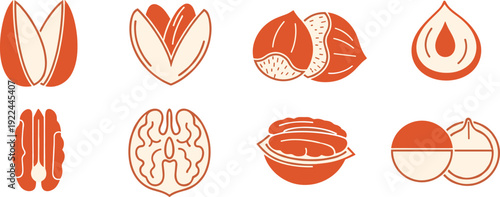 Nut icons vector set. Almond, walnut, hazelnut and pistachio line art symbols. Minimal food logo collection for packaging, organic branding and healthy snack design.