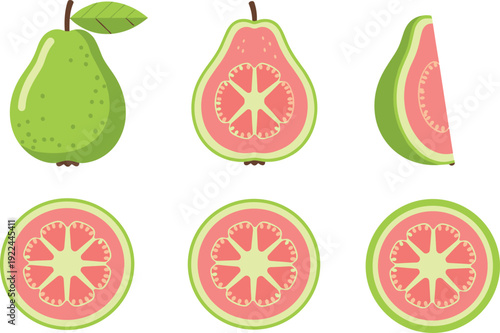 Flat vector illustration set of fresh green guava fruit collection whole and sliced with pink pulp for healthy tropical food ingredient and agriculture.