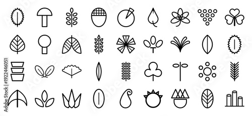 Botanical line art symbols and organic nature elements for sustainable branding. Minimalist monoline icons featuring leaves, mushrooms, seeds, and floral silhouettes.