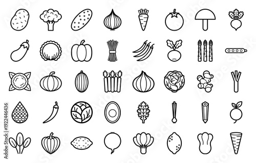 Fresh organic vegetables and healthy food ingredients in a clean monoline aesthetic. Minimalist garden produce line icons for grocery branding and culinary apps.