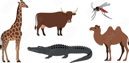 Flat vector illustration set of wild animal character collection including giraffe cow mosquito crocodile and camel for nature wildlife education and safari zoo concept.