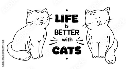 Life is better with cats