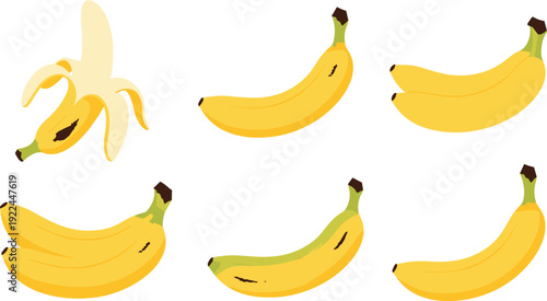 Flat vector illustration set of fresh yellow banana fruit collection whole and peeled with various bunch sizes for healthy tropical food ingredient and agriculture.