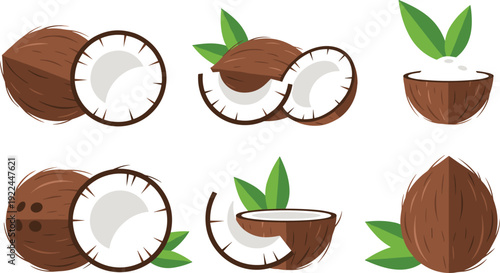Flat vector illustration set of fresh brown coconut fruit collection whole and sliced with milk and green leaves for tropical food ingredient and agriculture.
