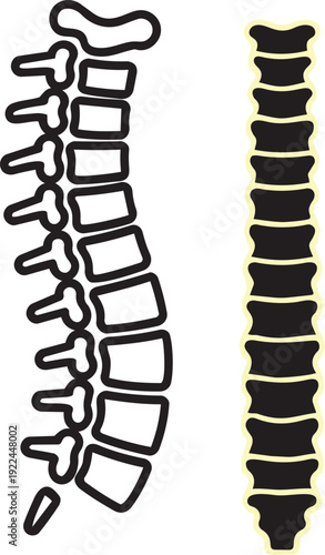  Human Spinal Cord Medical Icon Vector