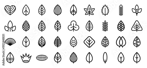 Botanical leaf symbols in a modern geometric monoline aesthetic. Minimalist organic nature icons for sustainable branding and eco-friendly UI design.