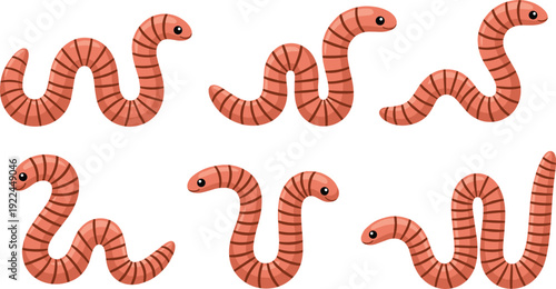 Flat vector illustration set of cute pink earthworm character collection with various crawling poses for soil health nature education and gardening concept.