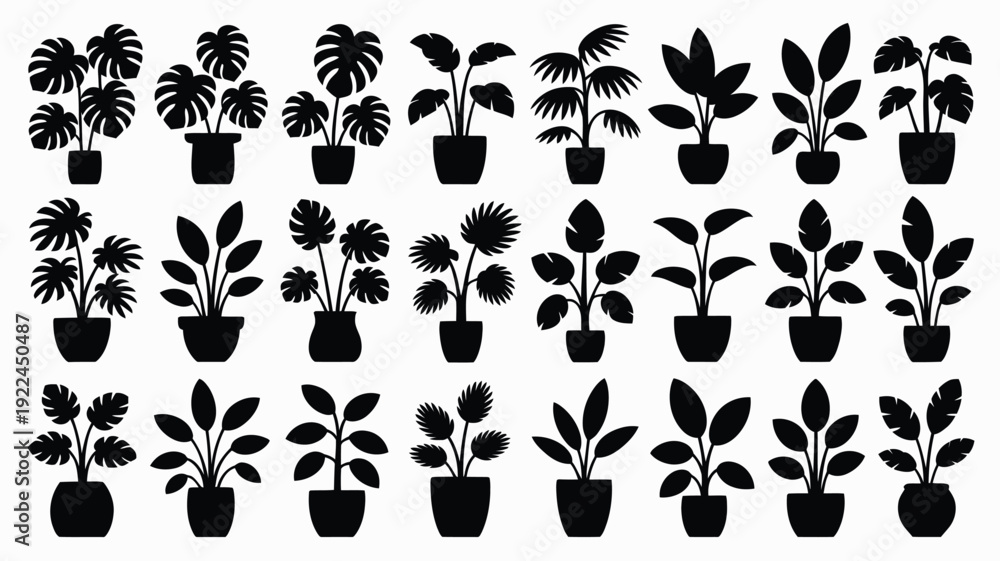 Fototapeta premium Collection of 32 tropical indoor plants in black silhouette on white background for decoration and design