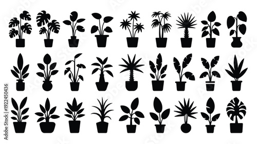 Collection of 32 tropical indoor plants silhouettes in pots on white background various shapes and sizes