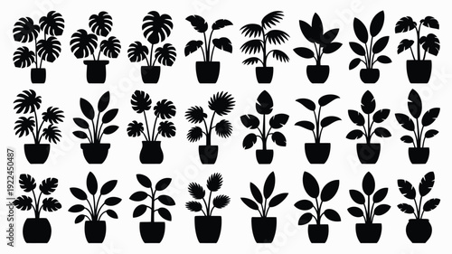 Collection of 32 tropical indoor plants in black silhouette on white background for decoration and design