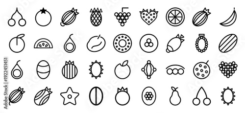 Abstract organic fruit and berry icons in minimalist monoline style. Geometric botanical line art for healthy food branding and nutritional infographics.