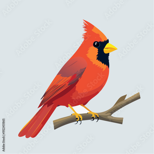 Vibrant Red Cardinal Bird Perched Gracefully on a Natural Branch, Showcasing its Striking Plumage and Elegant Form in a Detailed Illustration