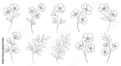 A collection of delicate hand-drawn floral illustrations featuring various types of flowers and leaves in a simple line art style.