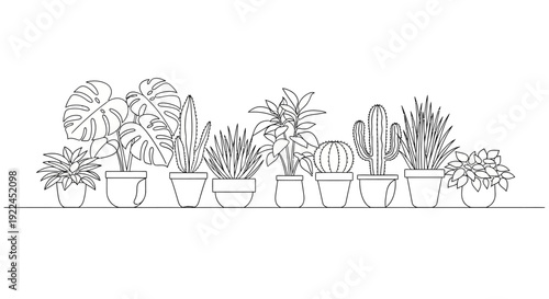 A detailed line drawing showcases a diverse collection of potted houseplants arranged in a horizontal line.