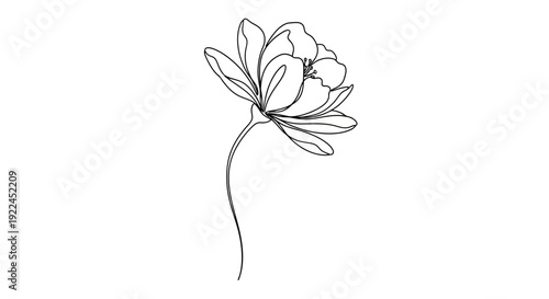 A delicate single-line drawing of a blooming flower with a slender stem, presented in a minimalist style.