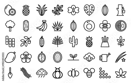 Tropical agriculture and botanical cultivation monoline icons featuring exotic fruits, cacao pods, coffee beans, and sustainable farming symbols.