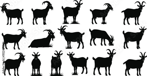 Set of American football vector icons and silhouettes including ball laces, stitching, various angles, outlines, and solid black sport graphics.