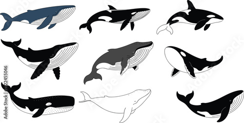 Stylized illustration of whale and orca icons in varied artistic designs, poses, and line details for marine, ocean, wildlife, and decorative themes