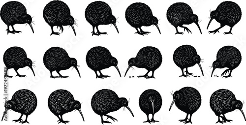 Set of New Zealand kiwi bird vector silhouettes featuring various flightless bird poses, foraging, walking, and standing black animal icons.